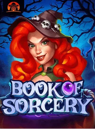 যাদুর বই